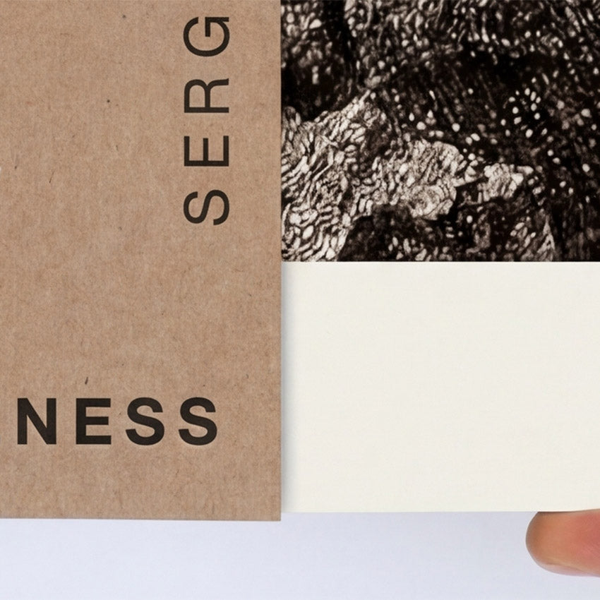 Art Book (inquiry for prices)