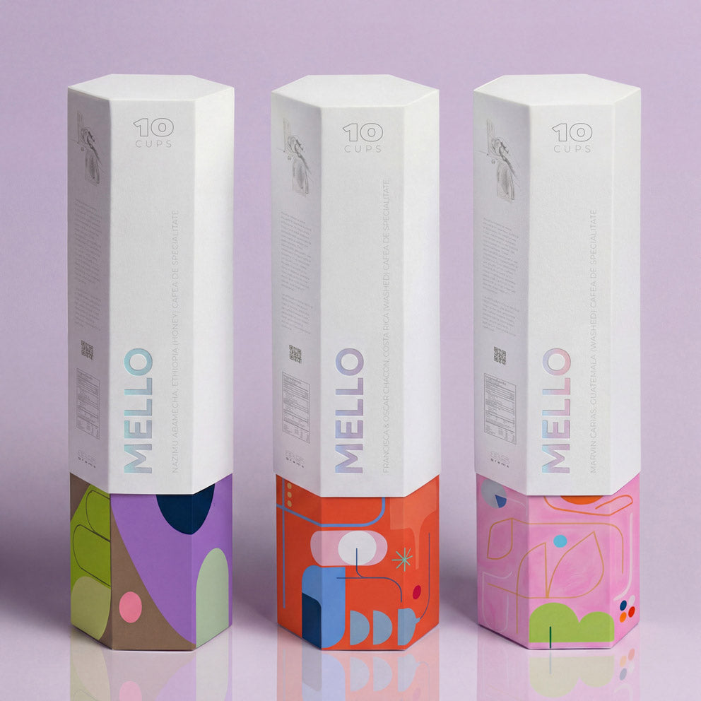 Double Lid Box - Hexagonal - For 10 Specialty Coffee Capsules