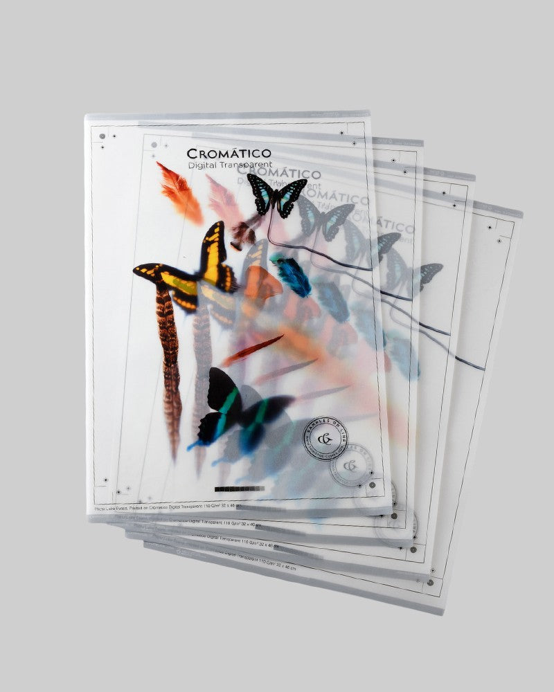 Exclusive Tuck End Box / Coloured opaque - For Cosmetics ( Bottle )